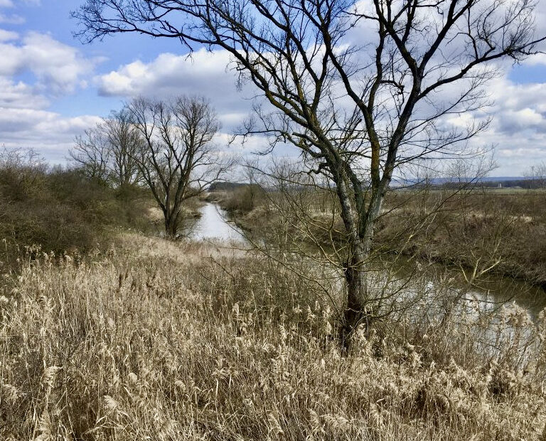 ein kleiner Fluss, braune Wiesen und kahle Bäume daneben