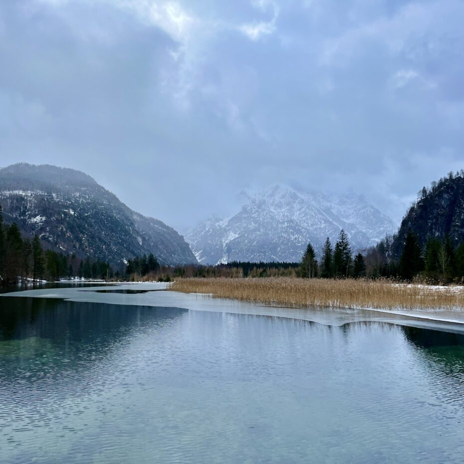 ein türkiser See in einer Winterlandschaft, vor zart verschneiten Bergen, Wolken und Nebel verhüllen einen Großteil des Hintergrunds, ein goldgelber Schilfgürtel leuchtet am Ufer