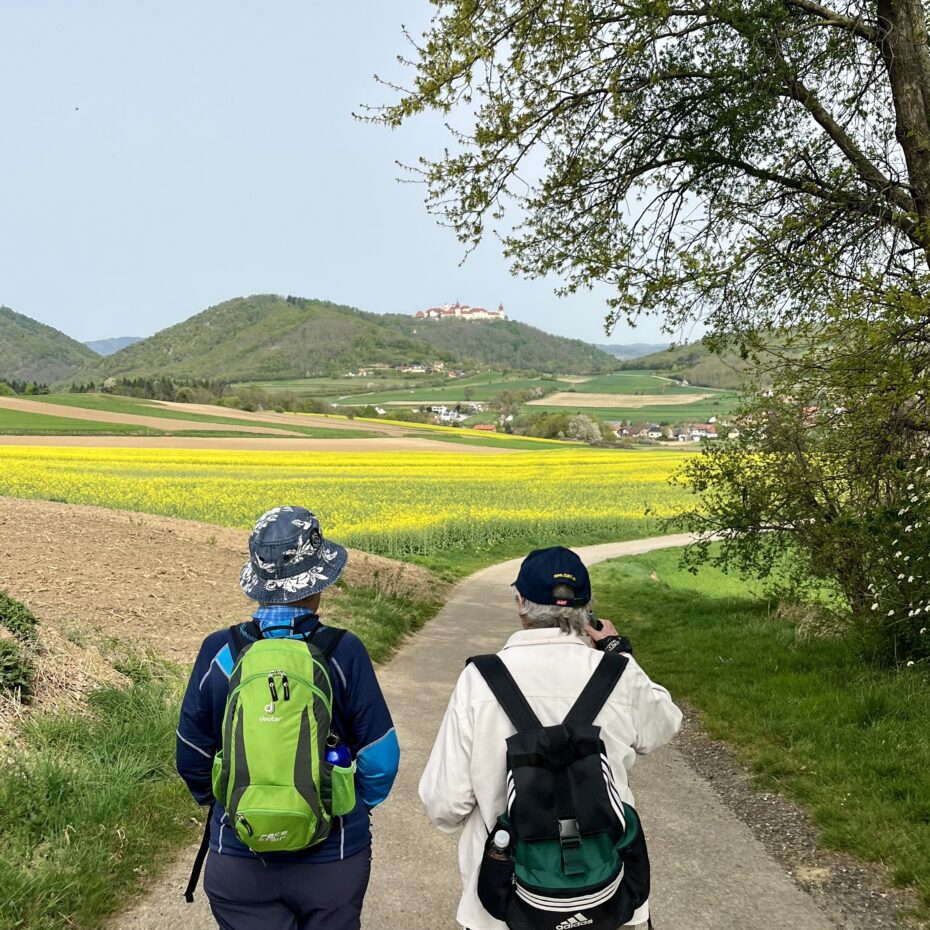 Zwei ältere Damen in Wanderkleidung mit Kopfbedeckung und Rucksäcken von hinten. Sie gehen über eine schmale Asphaltstraße im Schatten von Bäumen vorbei am Feldern. Im Hintergrund auf einem der Hügel ist eine Klosteranlage zu sehen - Stift Göttweig.