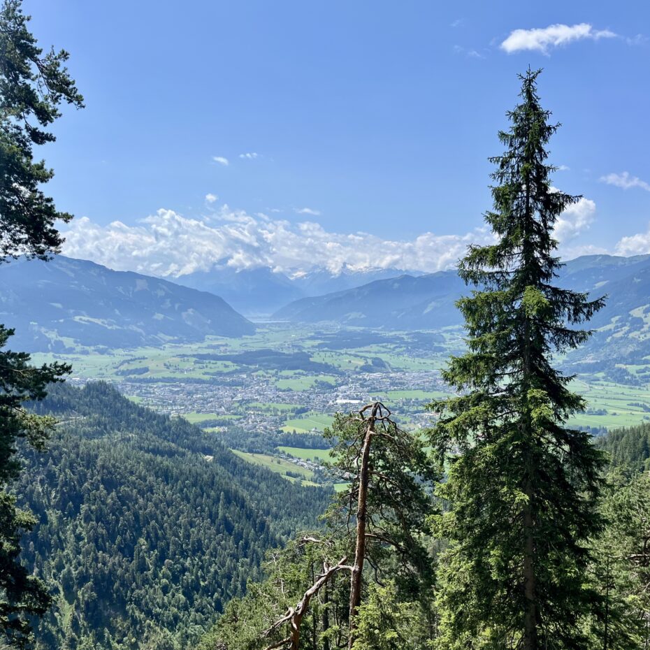 Blick vorbei an Nadelbäumen in eine weitläufige Tallandschaft mit Dörfern. Im Hintergrund erheben sich weitere Bergketten mit Gletschern vor dem strahlend blauen Himmel