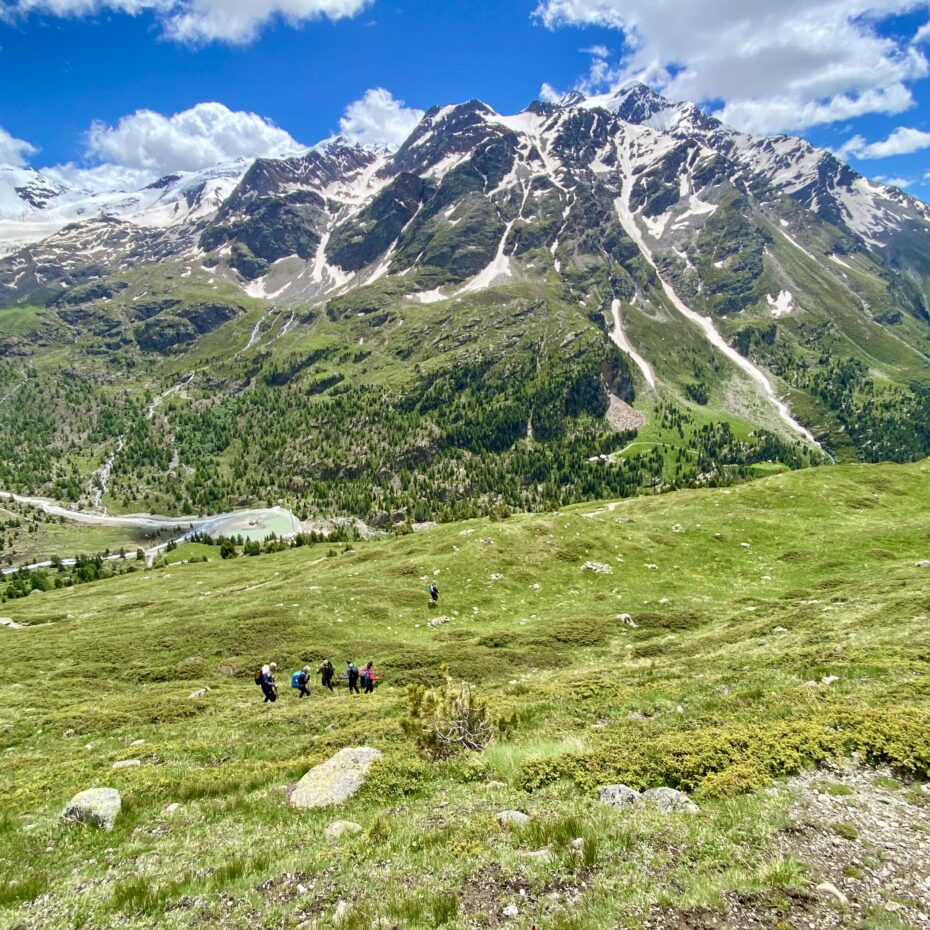 eine Wiesenhang im Hochgebirge. Auf halber Höhe geht eine Menschengruppe bergab. Im Hintergrund teilweise schneebedeckte Berge und Felsen. Ein Fluss fließt ganz unten durch das Tal.